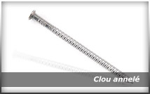 Clou annelé
